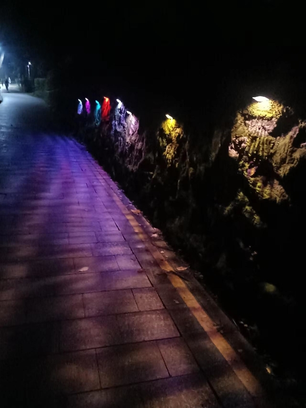 IP65 Solarzaun Flood Lights For RGB im Freien dekorativ für Landschaft