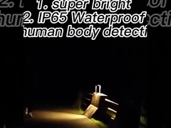 angetriebene LED-Bewegungs-Sensor-Solarlichter