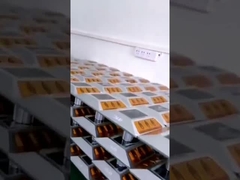 Wasserdichter dauerhafter Solarsäulen-Straßen-Bolzen zur Bahn-Sicherheit